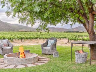 Vineyard House - 5