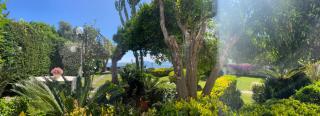 Summer Paradise - Procida - 8