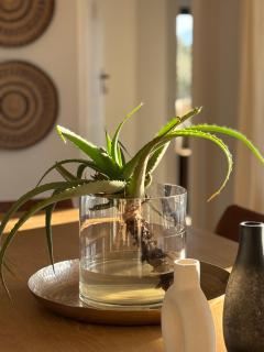 Libertas House, Cheverells Farm - Grabouw - 0