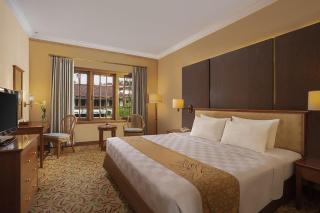 Loman Park Hotel Yogyakarta - Yogyakarta - 7