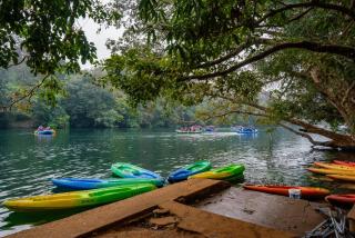 Dandeli Resorts - Luxury - Dandeli - 1