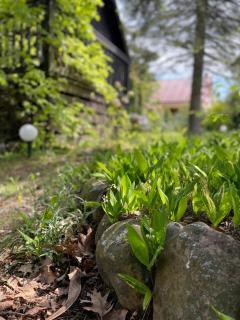 Kaszubski Zakątek Niesiołowice - 4