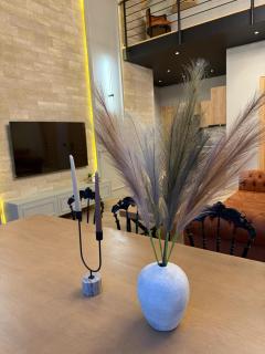 Qabala Twin Villa - 8