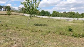 Pokój u Anity - Kamieniec Ząbkowicki - 2
