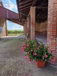 Cascina Robusta three-room apartment Box Private parking - Sospiro - 8