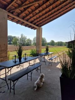 Cascina Robusta three-room apartment Box Private parking - Sospiro - 1