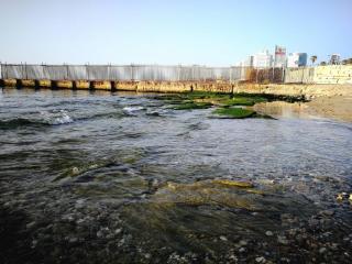 Hamam in Bat-Yam - Bat Yam - 8