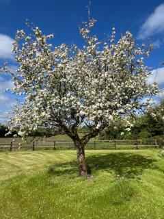 Cottage near Glasson village - 4