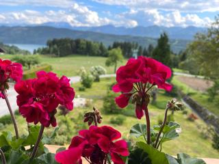 Haus Kleiner Seeblick - Millstatt - 8