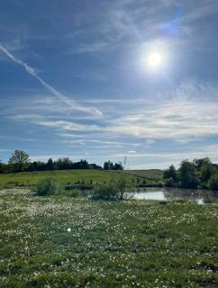Domki nad stawem - Miłki - 8
