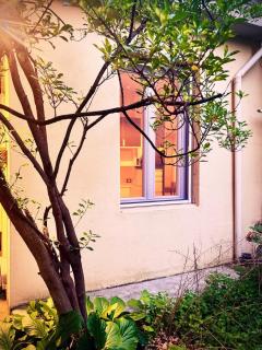 Le Petite Studio-Interno cortile di charme - Turim - 2