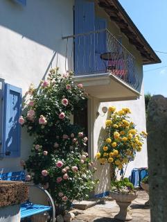 Casa Bianca Azzurra con piscina - Niella Belbo - 7