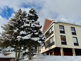 Ferienwohnung Lichtblick mit Balkon und Garage - Braunlage - 3