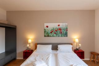 Ferienwohnung Lichtblick mit Balkon und Garage - Braunlage - 1