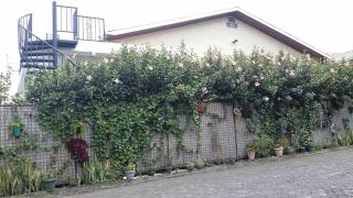 Mist Stay Inn - Ruhengeri - 5