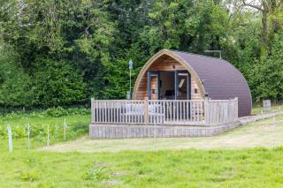 Ashberry Glamping Pod - York - 9