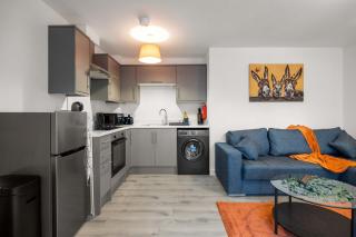 Charming 1 BR apartment walk to city centre - Belfast - 7