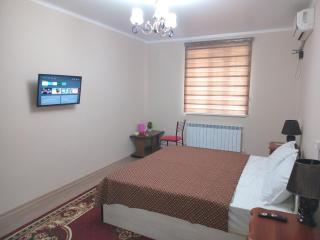 Apartment include a bedroom a bathroom a kitchen - Xiva - 0