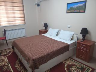 Apartment include a bedroom a bathroom a kitchen - Xiva - 9