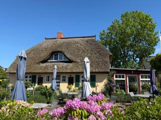 Ferienwohnung Rosengarten - Zingst - 7