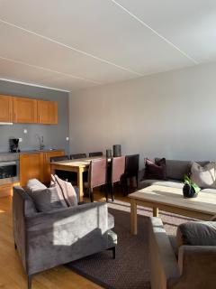 Hovdestøylen Apartments - Hovden - 6