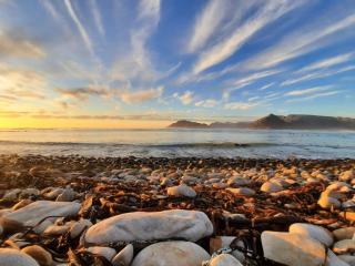 Kommetjie Holiday House in a Forest next to the Sea - Ciudad del Cabo - 0