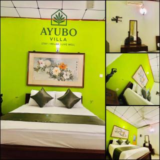 AYUBO Villa - 4