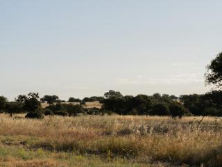Change The World - Herdade Monte do Peral - Montes Juntos - 1
