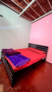 The Bird's Nest Homestay - Jāmb - 1