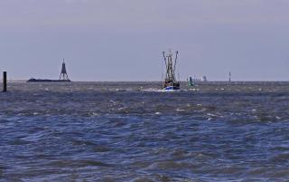 3 Raum Ferienwohnung Im 1 Og - Cuxhaven - 1