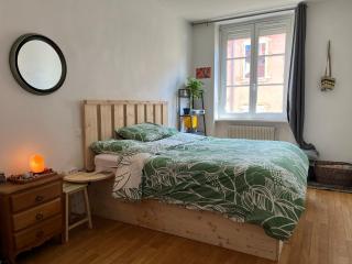 Cozy bright apartment Croix Roussien - Lyon - 6