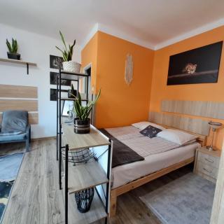 Apartment Le Chat - 3