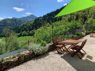 Maison de charme sur le plateau du Vercors au calme dans un véritable écrin de verdure - Engins - 6