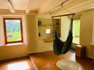 Maison de charme sur le plateau du Vercors au calme dans un véritable écrin de verdure - Engins - 4
