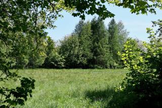 Gite - Saze Canne - 11 personnes - Vielsalm - 9