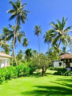 Samaragiri - Galle - 7