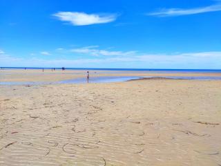 York House, Ardrossan - Ardrossan - 8