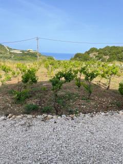 Les Oliviers Villa with Sea view on Petani Beach - Vovikes - 3