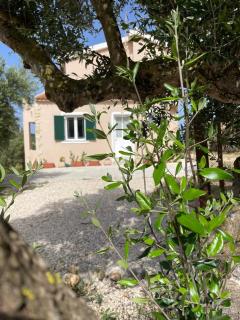 Les Oliviers Villa with Sea view on Petani Beach - Vovikes - 8