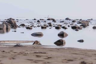 Iisland Aava - - 5