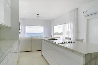 LilyPad - Saint Philip - 2