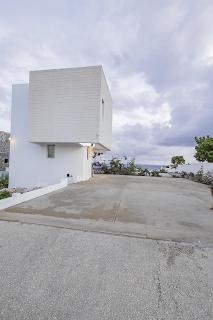 LilyPad - Saint Philip - 1