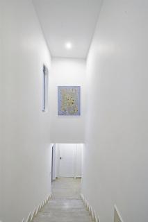 LilyPad - Saint Philip - 8