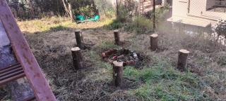 KODAI RiYA FRAME CASTLE - 7