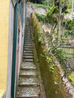 Caza do Sino - 9