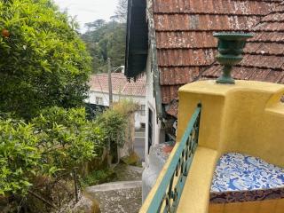 Caza do Sino - 3