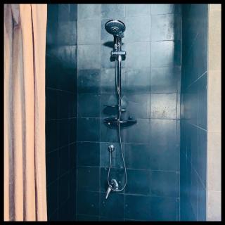 The Cottage in the Citrus Grove - 7