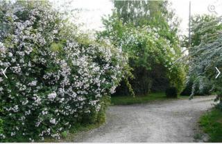 Le Neufbosc - - 7