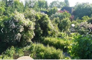Le Neufbosc - - 5