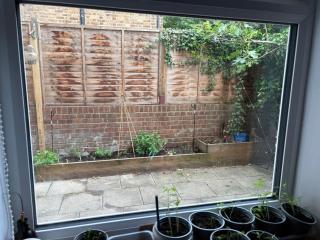 Antique BnB Hackney - 1